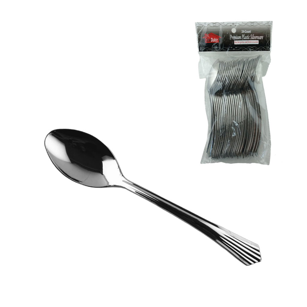 TLC243 - 24pc Silver Spoon - Bag