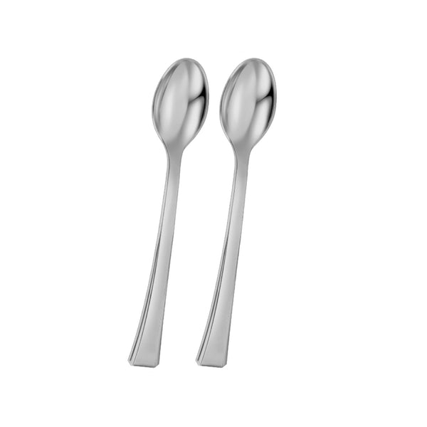 TLC251 - 48pc Small Silver Spoon - Bag